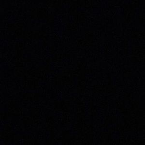 Meet your Posher, Lucy